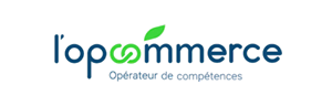 Opco commerce sg formation
